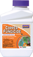 Fruit Tree Spraying - Bonide Copper Fungicide