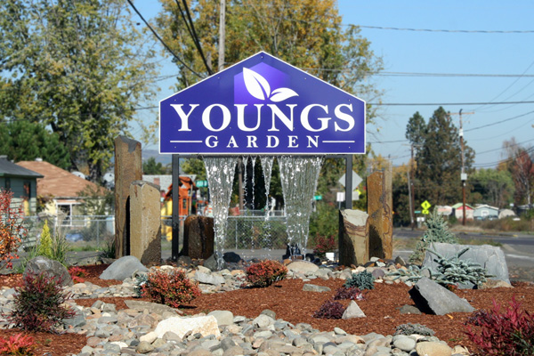 Youngs Sign 2018
