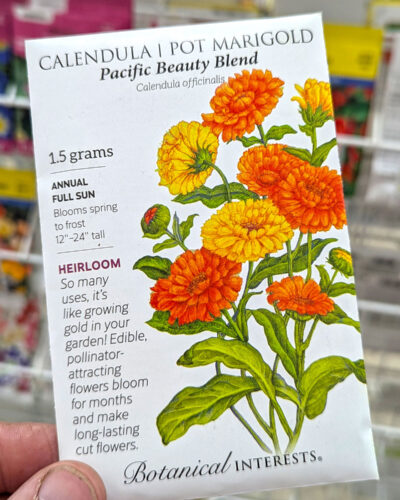 Calendula