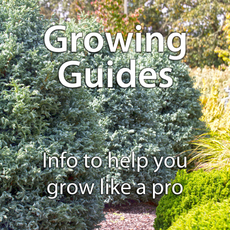 Growing Guides