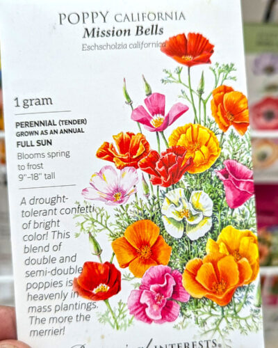 California Poppy